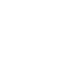 Logo Palantir